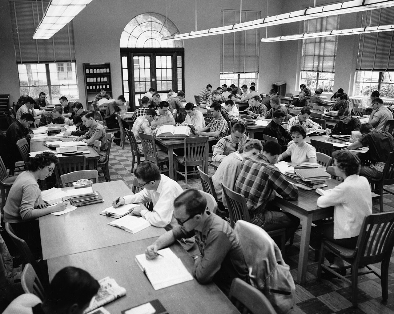Больше возможностей для молодёжи: в вузах растёт число бюджетных мест – Образование | 02.07.2026